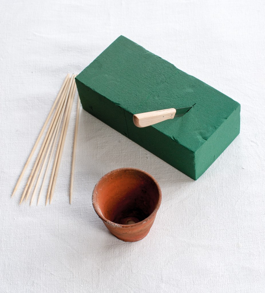 Step 1 Picture, oasis foam cube, skewers, plant pot and knife. 